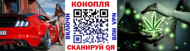 где можно купить наркотик  МЕГА как зайти  Канабис SATIVA & INDICA  Ужур 